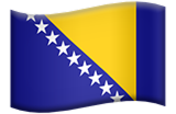 Bosnian flag
